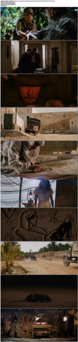 夺宝奇兵1：法柜奇兵.Indiana.Jones.and.the.Raiders.of.the.Lost.Ark.1981.BDRip.1080p.x265.10bit.DDP5.1.4Audio D.jpg