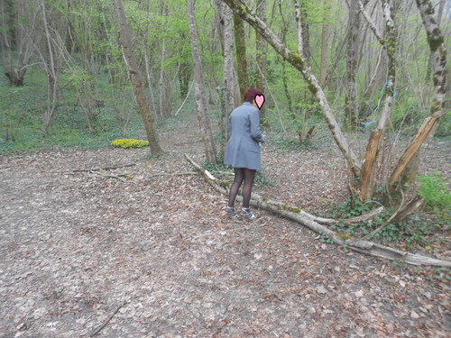 DSCN3498.jpg