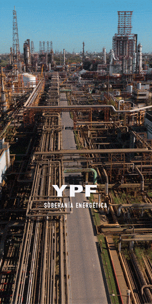 Industrializacion 300x600 80k.gif