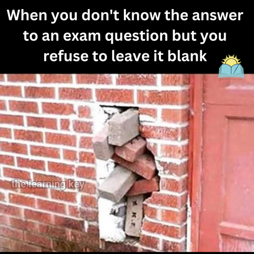 Memes261