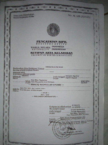 scaled d07d0acd 5dd8 4039 a3e5 11544c2cf7917657397725064926947.jpg