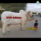 Memes153