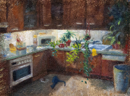 plantes cuina 2016.jpg