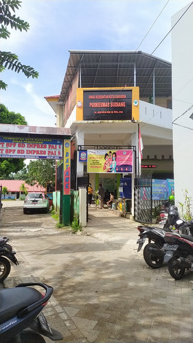 P. sudiang (jl. goa ria, kec. biringkanaya).jpg