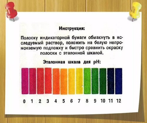 img9462a4ae2a19790e7128b79e89c89d9d.jpg