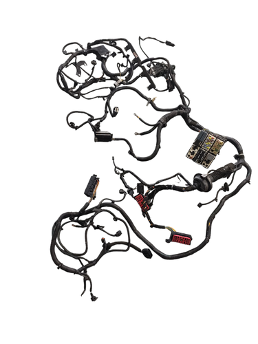 PhotoRoom 20230823 134146.png