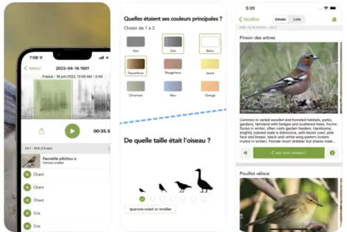 SCR 20230605 l9w 2 1024x686.webp