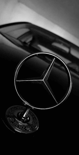 725D64C4 59A1 4047 AB4D 806BC85E1F7D.jpg