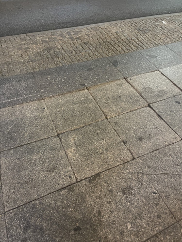IMG 0598 Large.jpg
