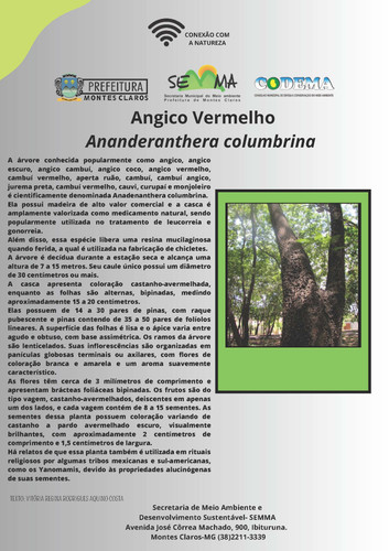 angico vermelho.jpg