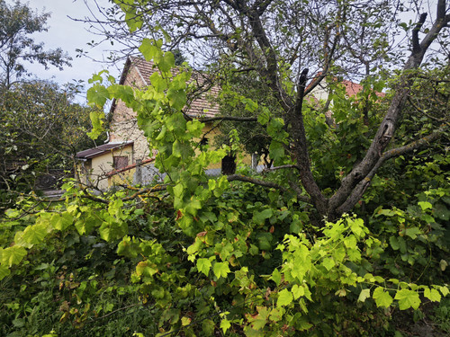 IMG 20230825 161104.jpg