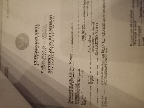 scaled a03b7f68 029b 44a0 8af4 2207b2f30b717724220956225924395.jpg