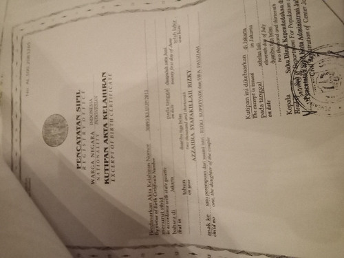 scaled d80ab6c2 2052 4065 91e1 80eebf1e56927833119556150680740.jpg