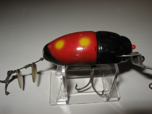 IMG 2367.jpg