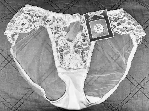 Elsh Panties.webp