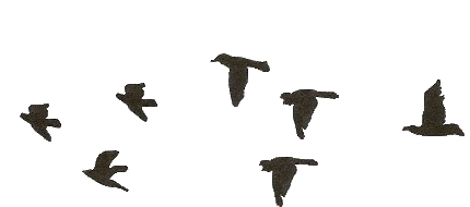 TopGif (2).gif