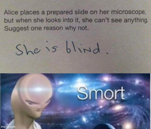 1693273875974.jpg
