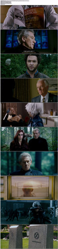 X战警3.XMen.The.Last.Stand.2006.HK.BDRip.1080p.x265.10bit.AC3.2Audio DGB.jpg