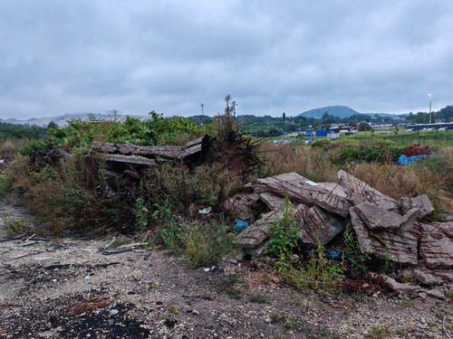 IMG 20230830 060320.jpg