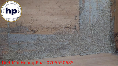 255f5d66011086cd05156b99308379e1.png