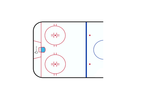 rink100Rotated.png