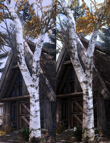 2. Trees sidebyside.jpg