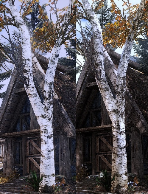 2. Trees sidebyside.jpg