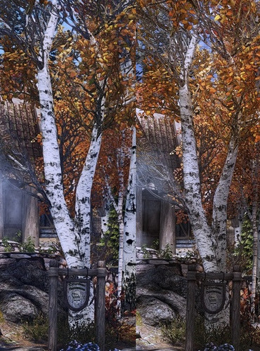 1.Trees sidebyside.jpg