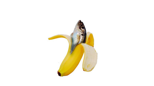 file 695.jpg
