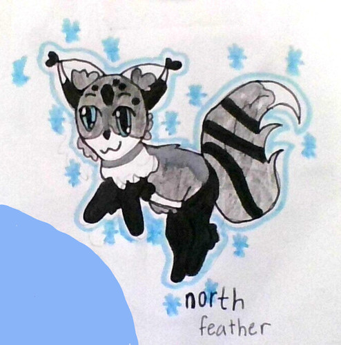 northfeather.jpg