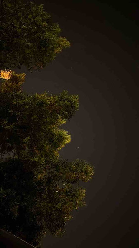 B6101981 26CC 4F2E B622 F7A88BB50C2C.jpg