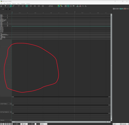 Midi editor 1.jpg