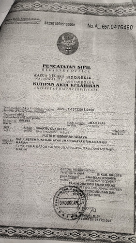 scaled 5488589a 4843 46e9 9337 ac30083ec39f6054953949278723208.jpg