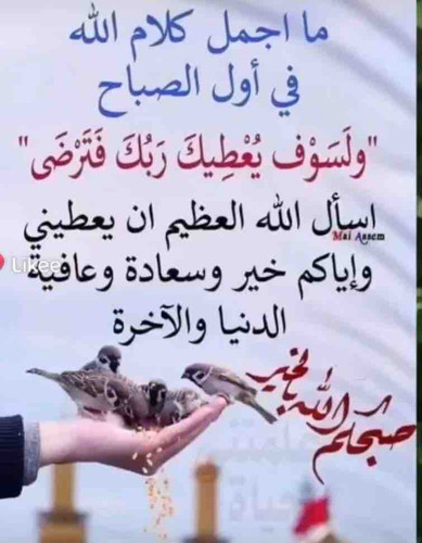 635F477A 7441 4805 B99B B631AA96D0FD.jpg