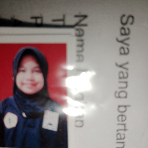 scaled bba7a18a 91b0 417b bdd2 edc1242776b61606334661276024750.jpg