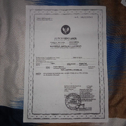 scaled b2113a87 e797 4bcf 8efd 90374d99f5576893017078124977153.jpg