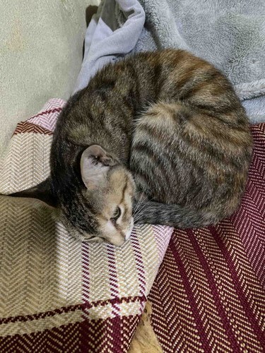 B96D4407 D8FD 4EAE AFD4 E22CDA3A94FB.jpg