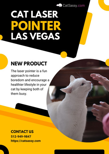 Cat laser pointer Las Vegas.jpg