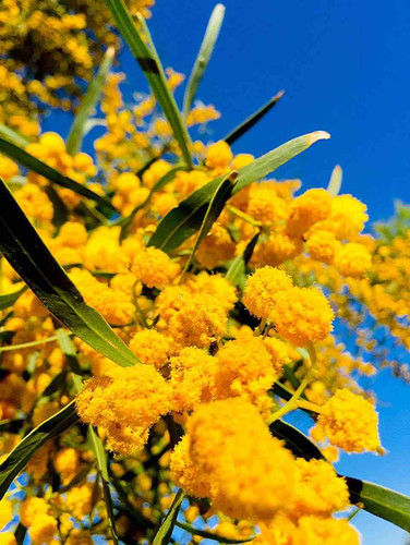 FB70D7D4 EE78 49A6 8137 9DC4826779FE.jpg