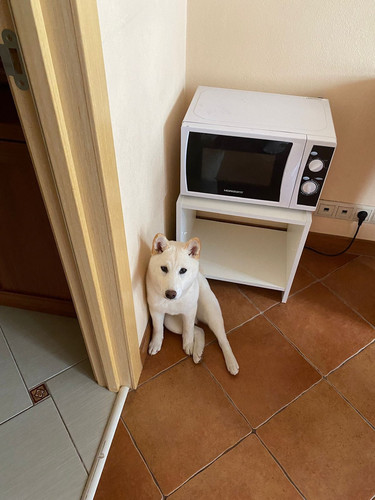 1693096694 926461178.jpg