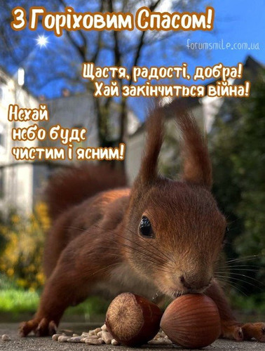 img94e6cc8a086a94eeac7320319e2e4ea6.jpg