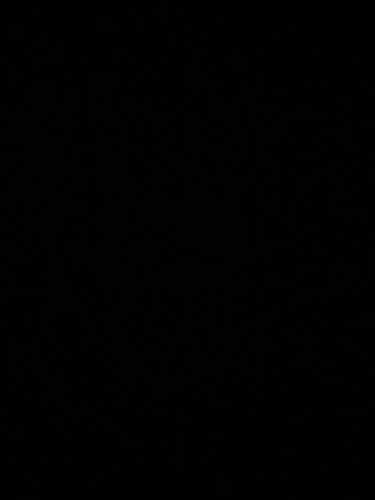 4E3BF3D8 3DCB 4A33 B3FF E2CB997ABA90.jpg