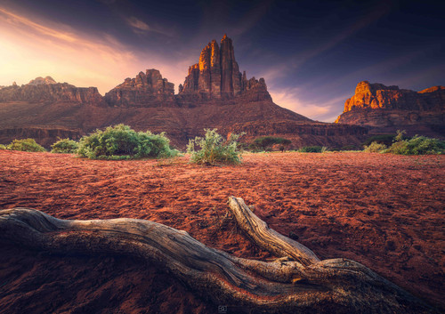 C9AFA769 57A3 4010 A020 1B2896E4EF94.jpg