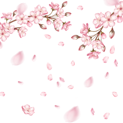 —Pngtree—spring light effect pink cherry 6105940.png