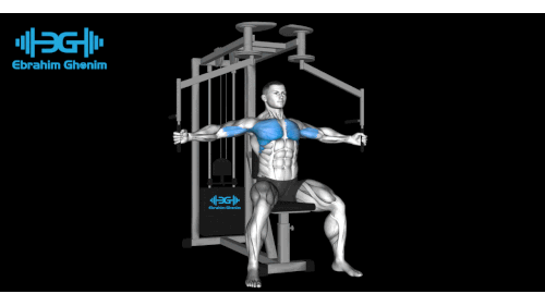  Barbell Bench Press دفع بالبار مستوي 6.gif