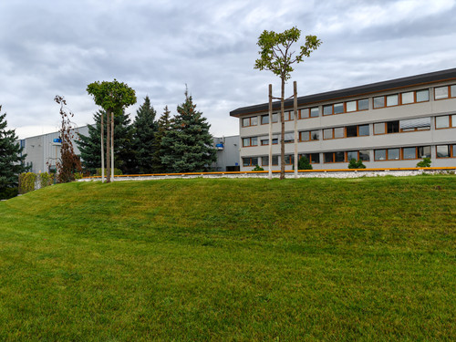 IMG 20230829 125056.jpg