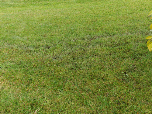 IMG 20230829 125059.jpg