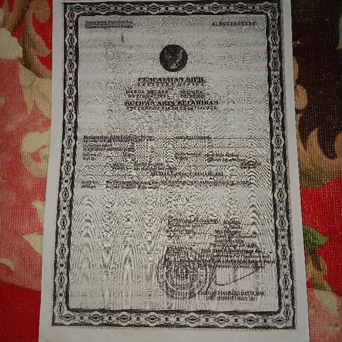 scaled 1127bf3d 2b4c 4e67 aabc 284f386047468144475703437904313.jpg