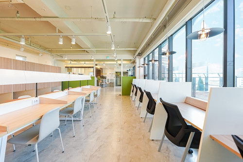 scafe.jpg