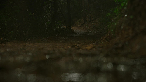 Siren.Survive.the.Island.S01E01.2023.Netflix.WEB DL.1080p.x264.DDP HDCTV.mkv 20230830 001314.168.jpg